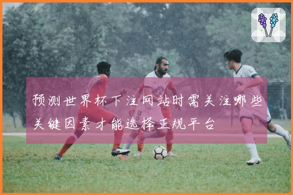 预测世界杯下注网站时需关注哪些关键因素才能选择正规平台