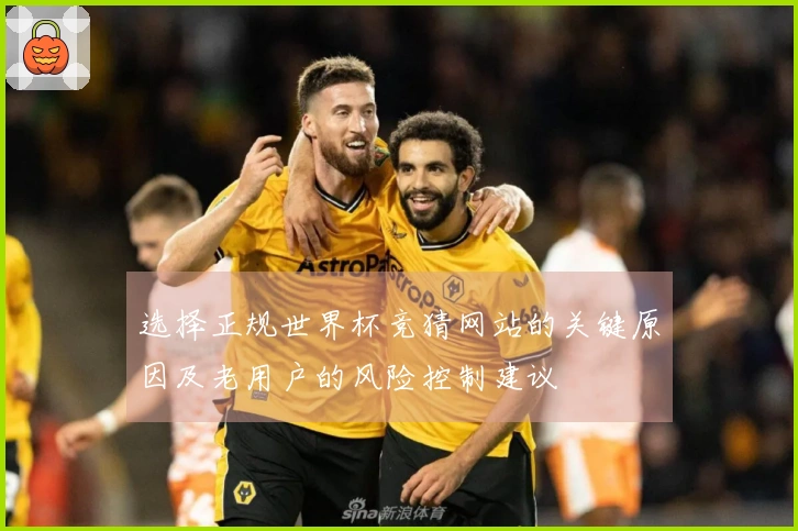 选择正规世界杯竞猜网站的关键原因及老用户的风险控制建议