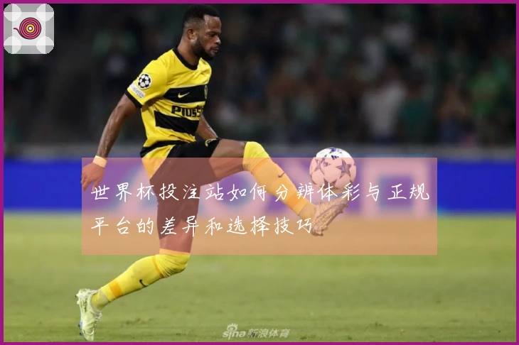 世界杯投注站如何分辨体彩与正规平台的差异和选择技巧