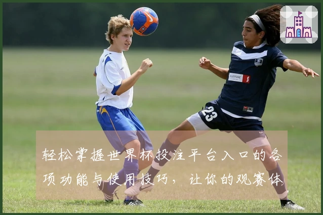 轻松掌握世界杯投注平台入口的各项功能与使用技巧，让你的观赛体验更畅快