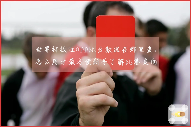 世界杯投注app比分数据在哪里查，怎么用才最方便新手了解比赛走向