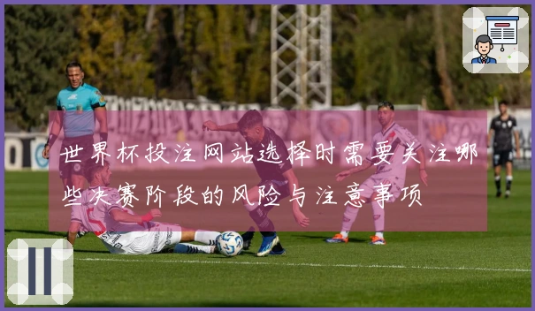 世界杯投注网站选择时需要关注哪些决赛阶段的风险与注意事项