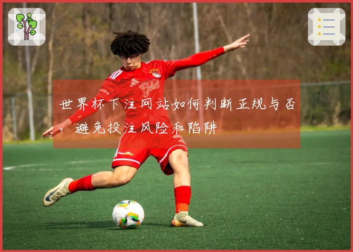 世界杯下注网站如何判断正规与否，避免投注风险和陷阱