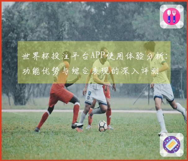 世界杯投注平台APP使用体验分析：功能优势与综合表现的深入评测