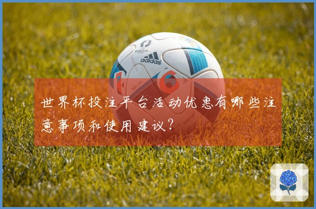世界杯投注平台活动优惠有哪些注意事项和使用建议？