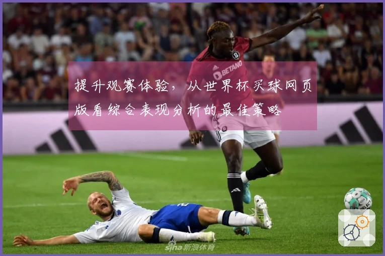 提升观赛体验，从世界杯买球网页版看综合表现分析的最佳策略