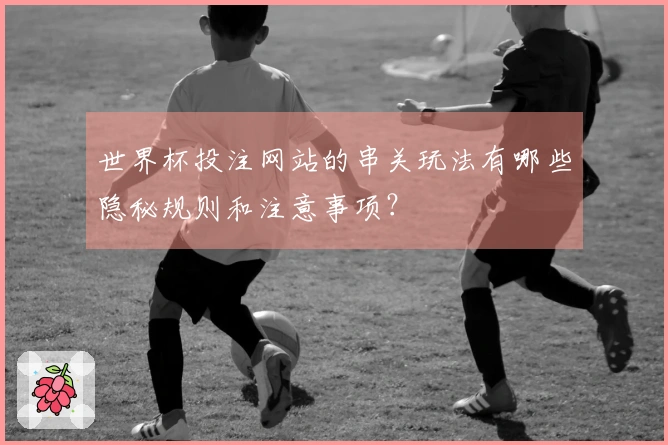 世界杯投注网站的串关玩法有哪些隐秘规则和注意事项？