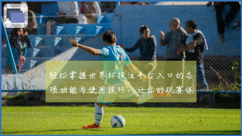 轻松掌握世界杯投注平台入口的各项功能与使用技巧,让你的观赛体验更畅快