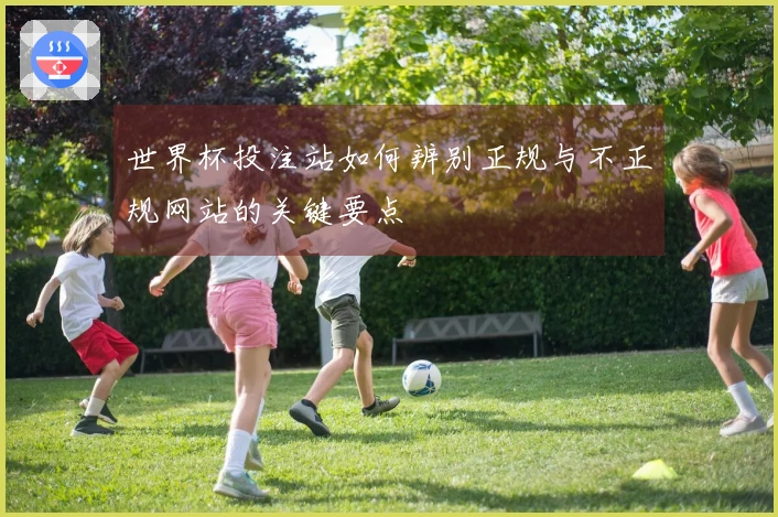 世界杯投注站如何辨别正规与不正规网站的关键要点