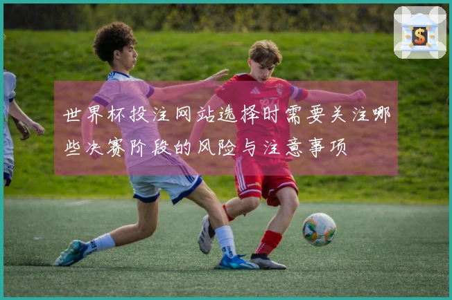 世界杯投注网站选择时需要关注哪些决赛阶段的风险与注意事项