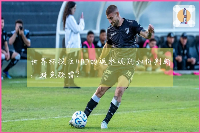 世界杯投注app的返水规则如何判断，避免踩雷？