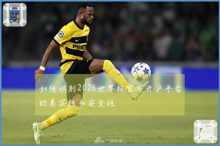 如何识别2026世界杯官方开户平台的真实性和安全性
