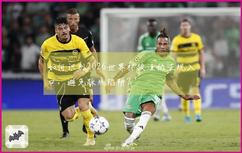 如何识别2026世界杯投注的正规入口，避免踩坑陷阱？